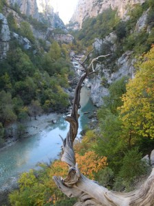 Verdon